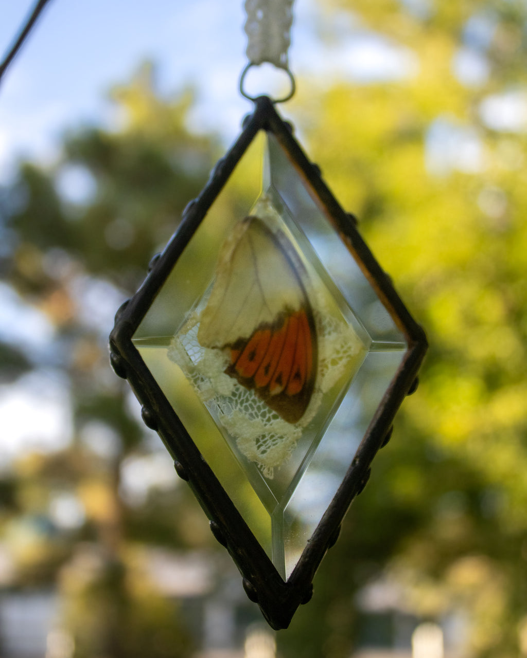 Butterfly Bevels