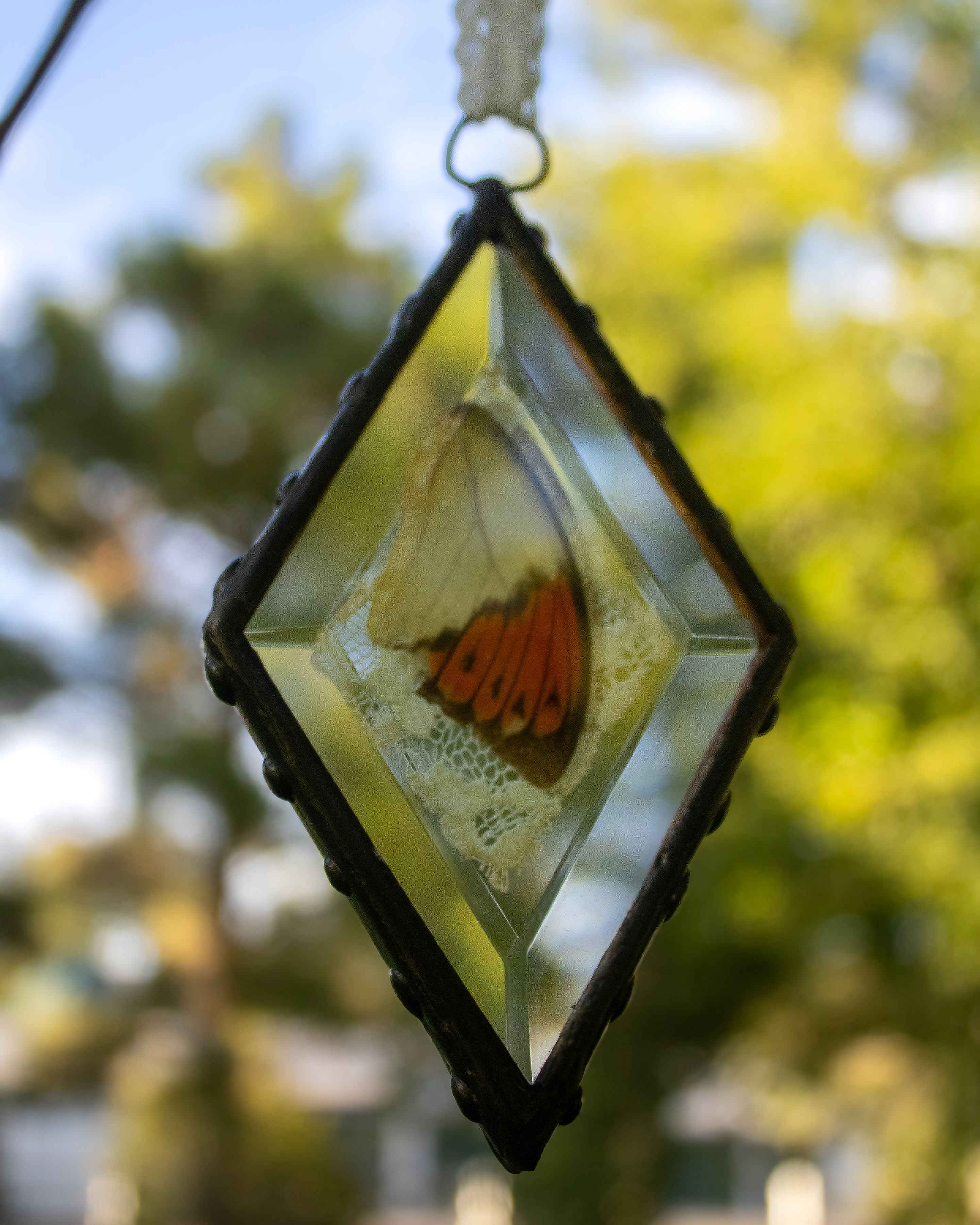 Butterfly Bevels