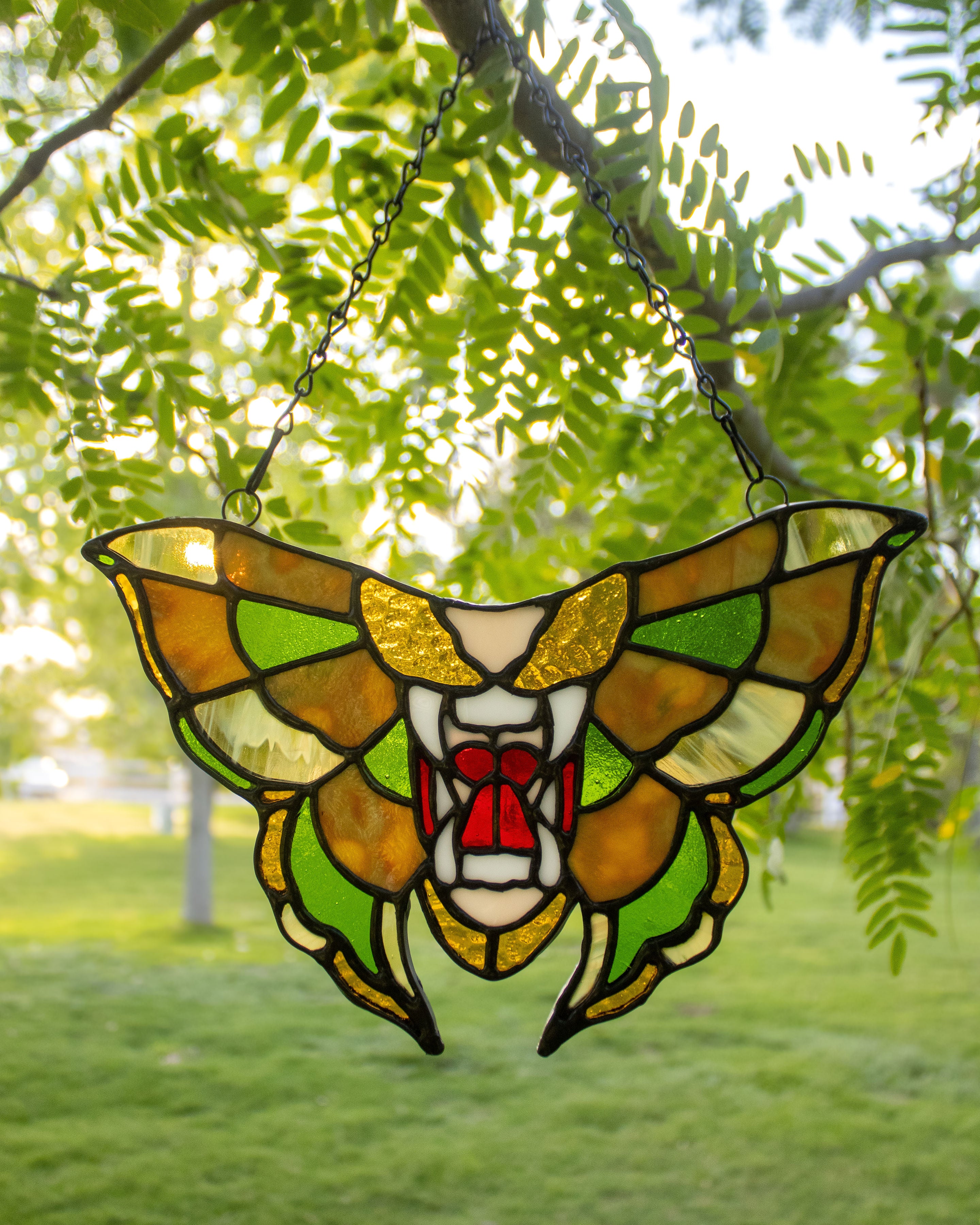 Tigerfly