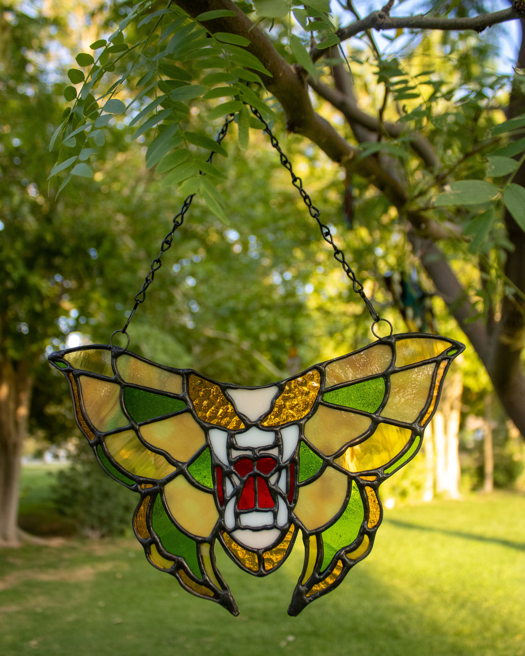 Tigerfly