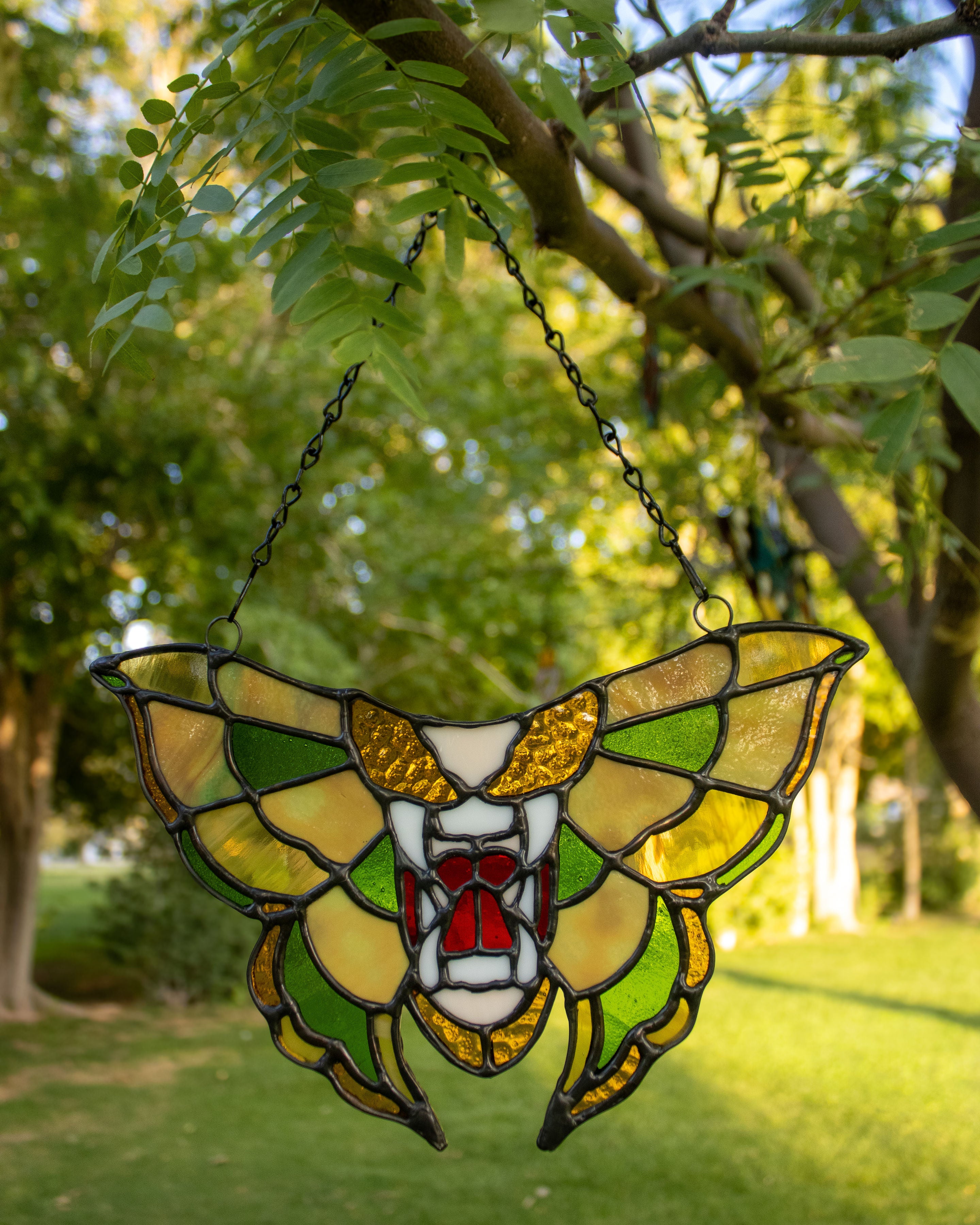 Tigerfly