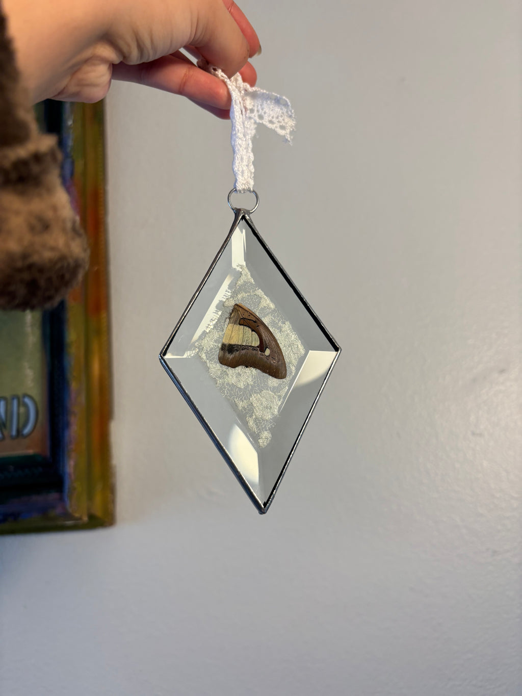 Happiness is a Butterfly — Beveled Lace Wings